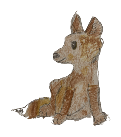 Mina the African wild dog