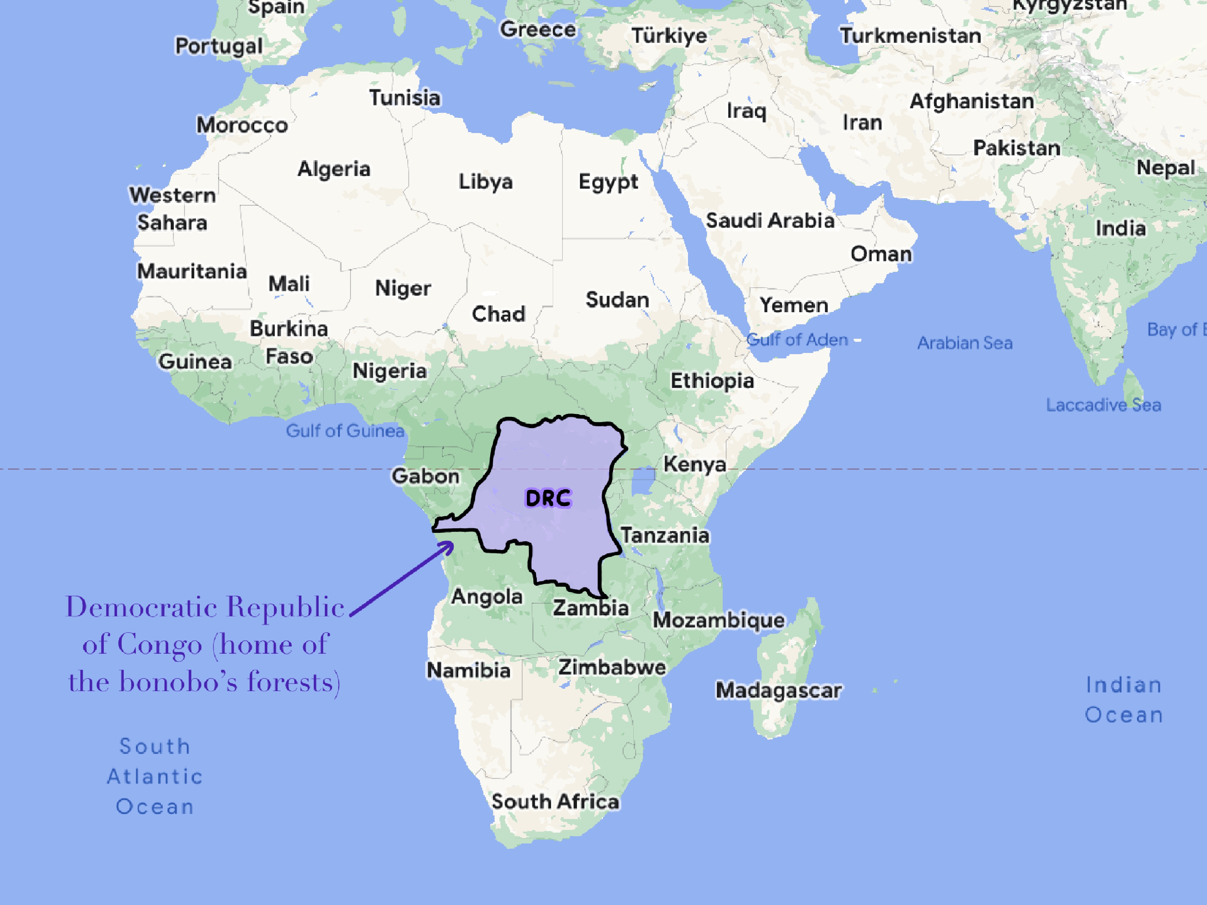 Bonobo - map of where they live
