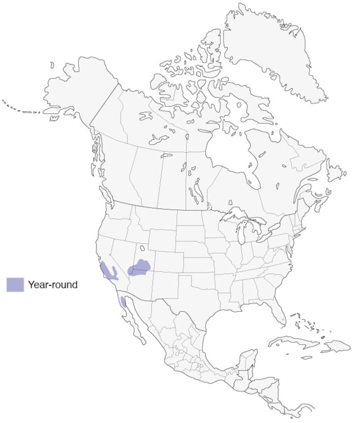 California Condor - map of where they live