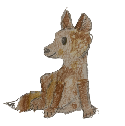 Mina African wild Dog